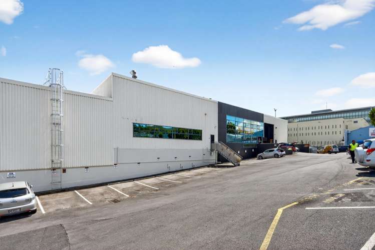 51 Normanby Road Mt Eden_3