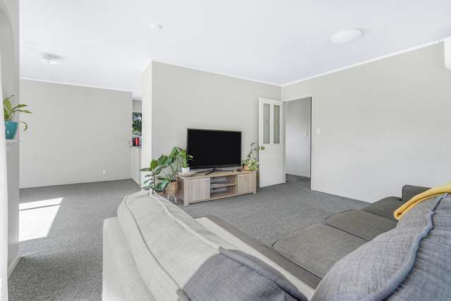 44b Macfarlane Street Hamilton East_3