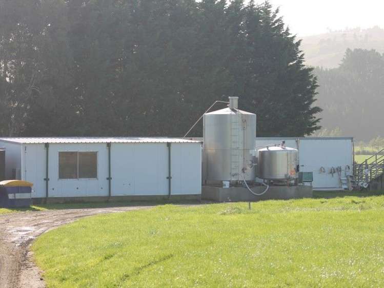 59 Oware Road Catlins Surrounds_11