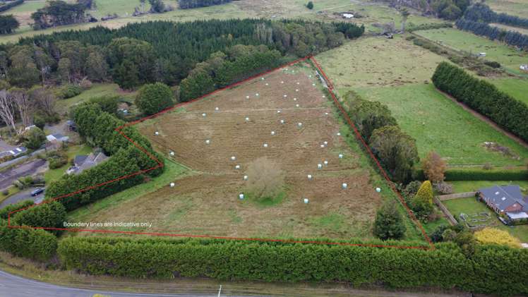 190 Otatara Road New River Ferry_10