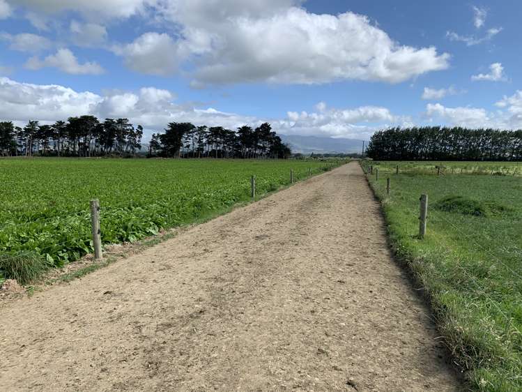 80922 State Highway 2 Pahiatua_25