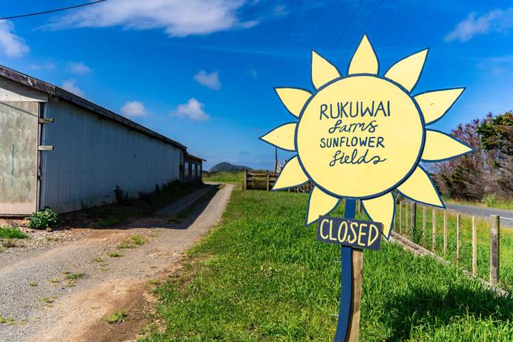 271 Pataua South Road Pataua South_21