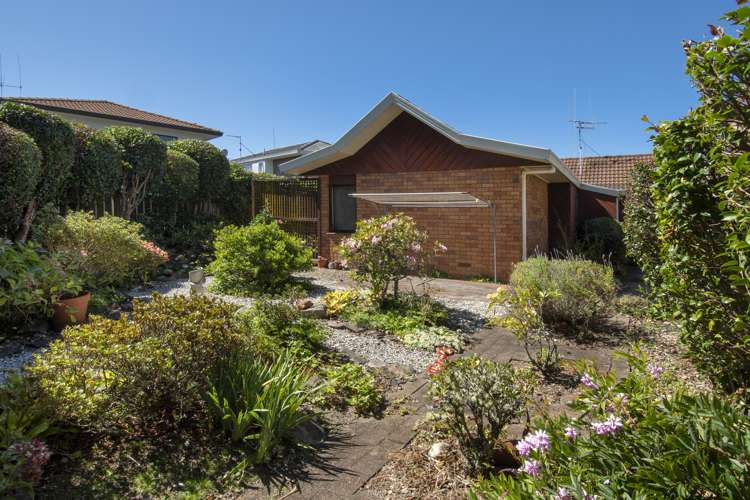 5 Edith Way Matua_12