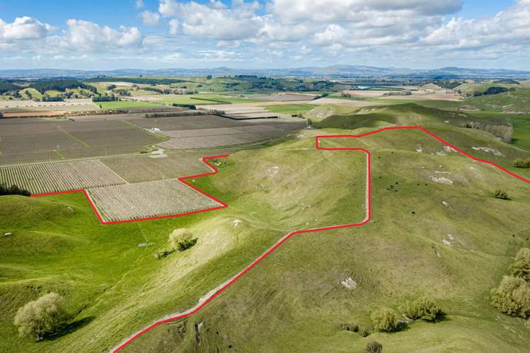 268 Moteo Pa Road Puketapu_6