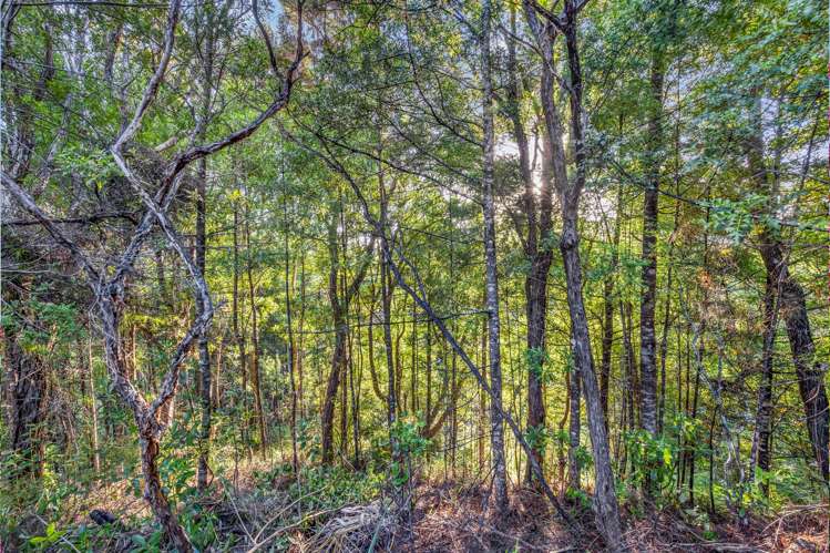 129 Paremoremo Road Lucas Heights_24