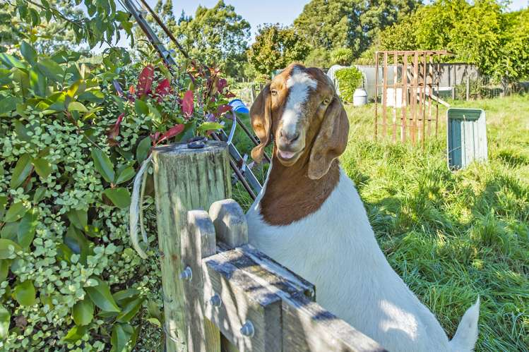 32 Warrens Road Darfield_25