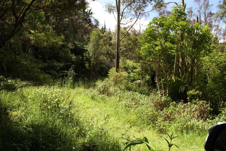 Puhata Road Herekino_6