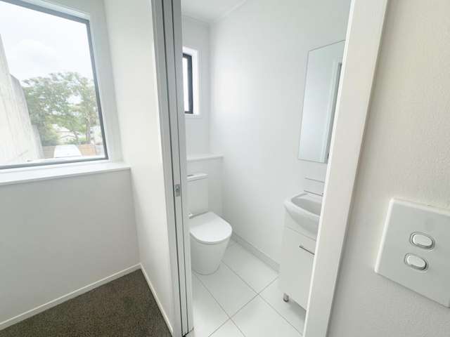 315 Dominion Road Mount Eden_2