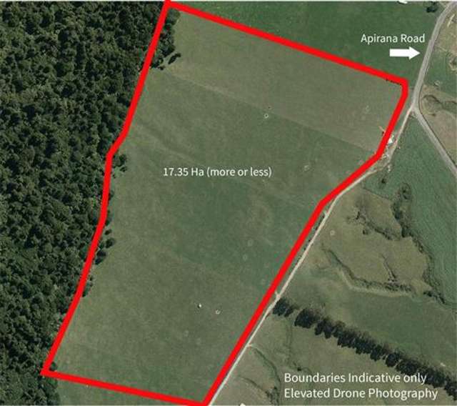 Apirana Road Horohoro_1