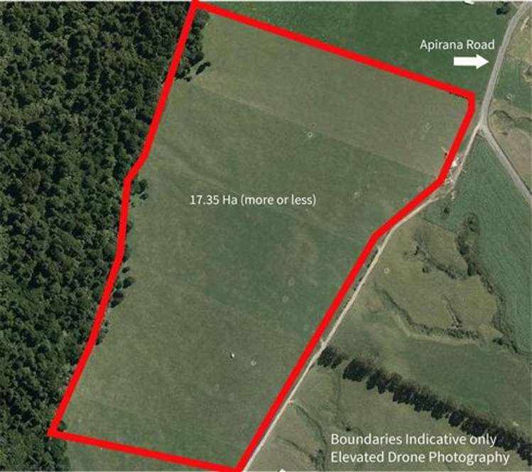 Apirana Road Horohoro_1