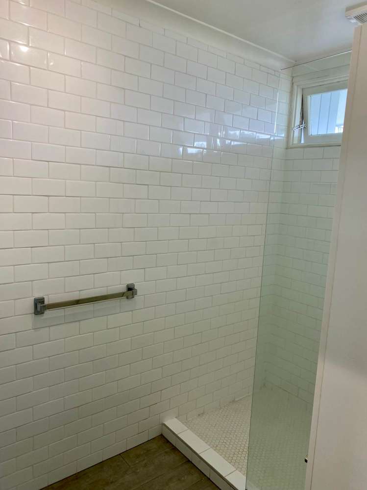 10/2 Cowie Street Parnell_13