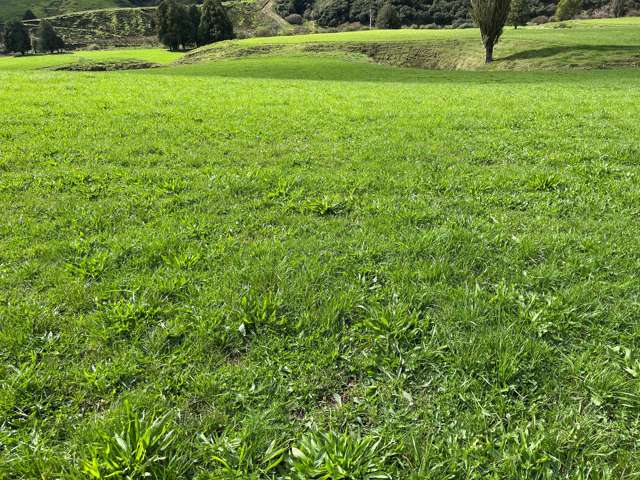 Lot 7 632 Mangaotuku Road Tututawa_2