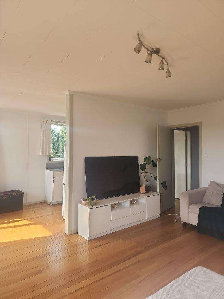 21 Ruru Crescent Putaruru_5