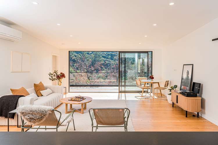 527 North Road Normanby_5