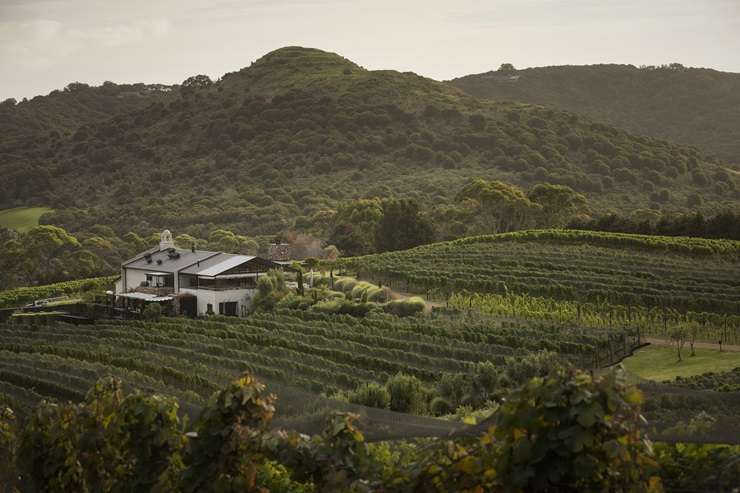 Tantalus winery outlet