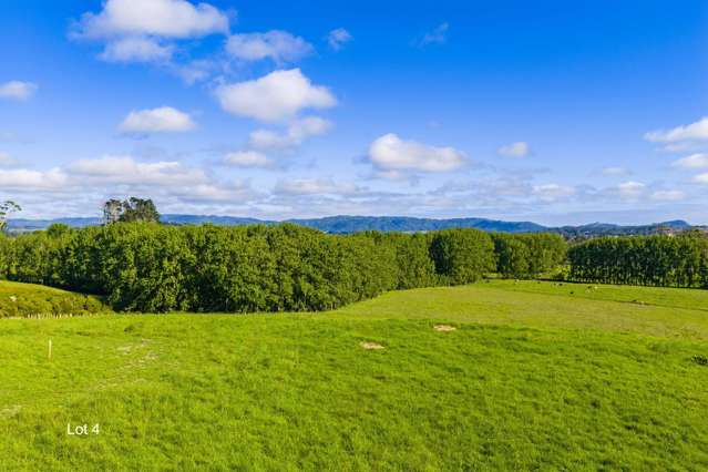 42 Ocean Sounds Place (Proposed Lots 4 and 5) Mangawhai_1