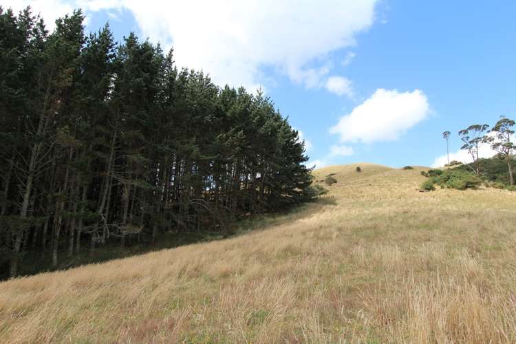 55 Pirrit Road Pokeno_5