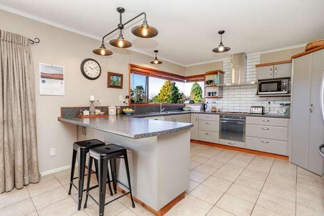 71 Gregg Street Dannevirke_2