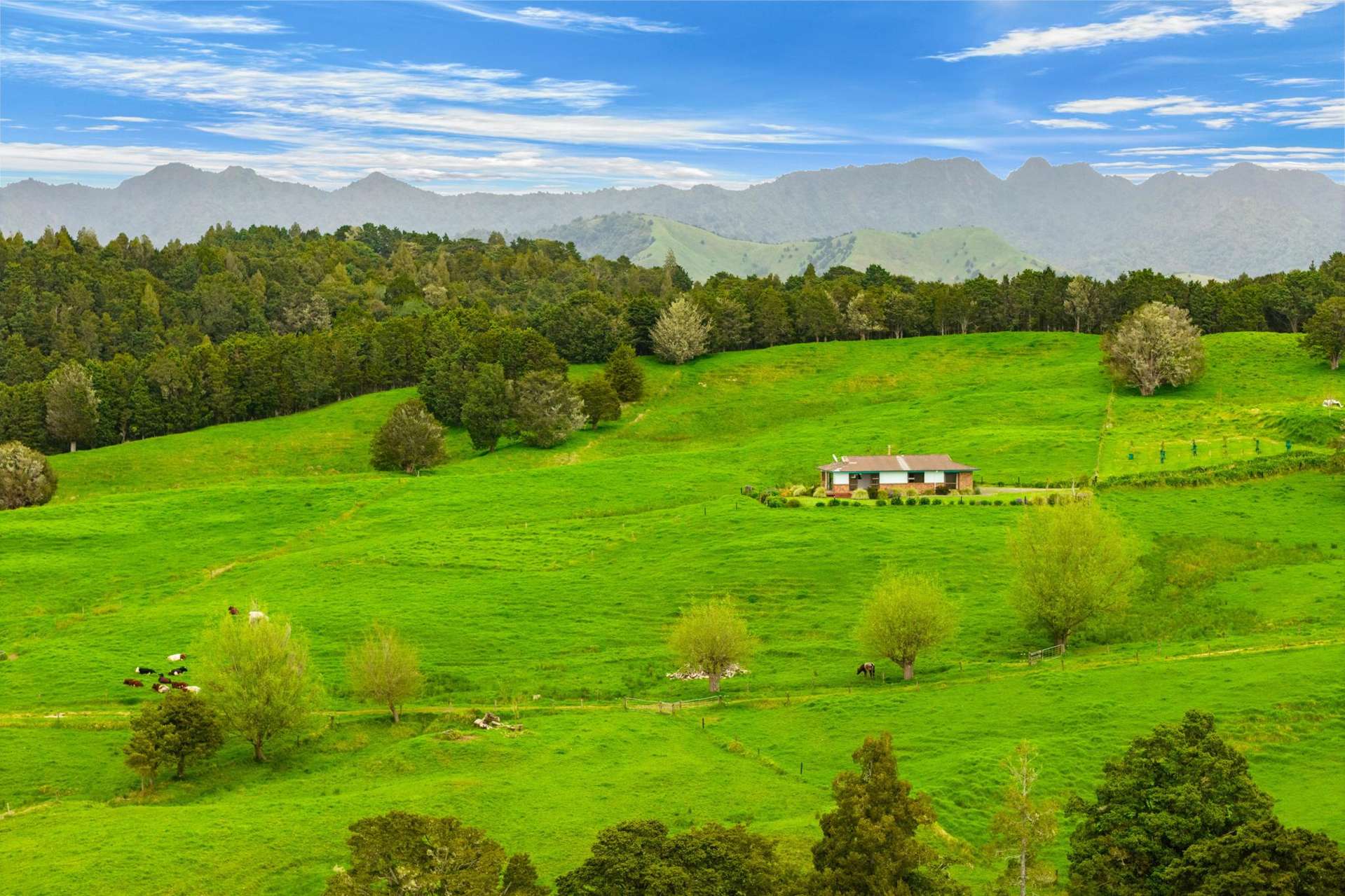 465 Otuhi Road Maungakaramea_0