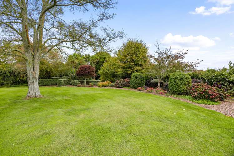 36 Roto O Rangi Road Leamington_22