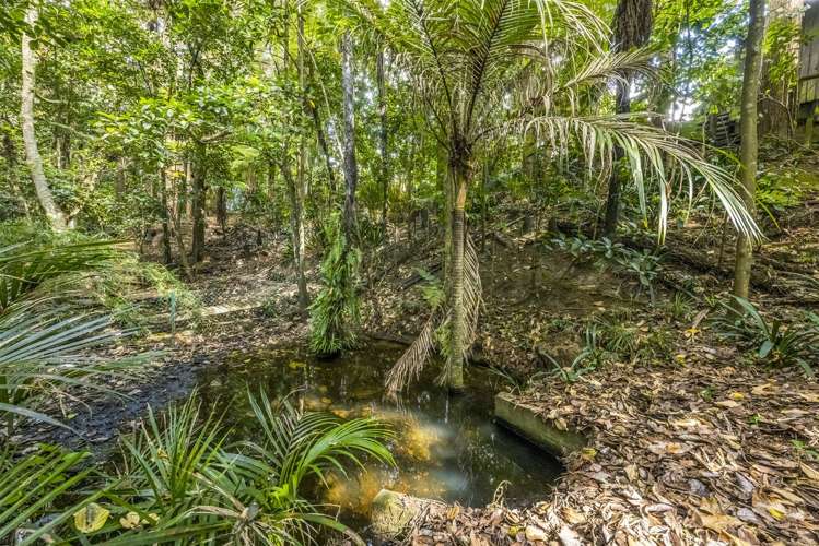 26 Scenic Drive Hillpark_6