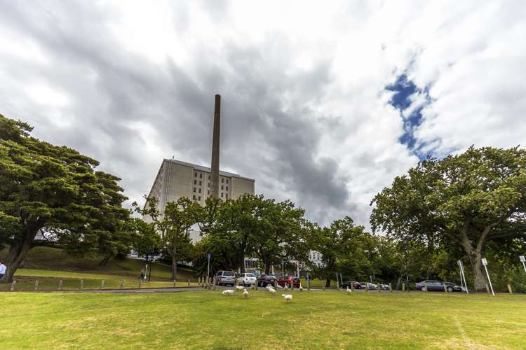 806/96 Symonds Street Grafton_4