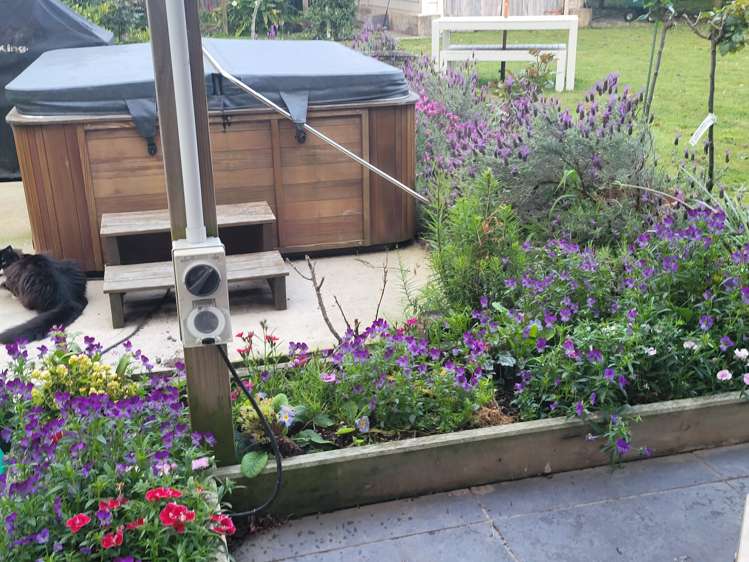 17 Hakanoa Street Huntly_32