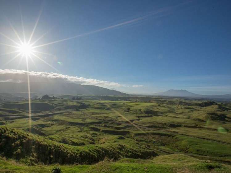 60 Bullians Road Owhango_15