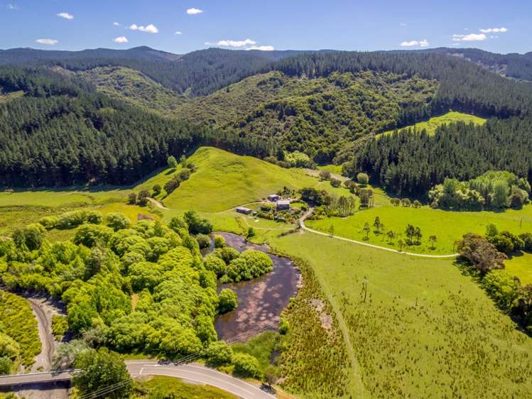 2928 White Rock Road Tuturumuri_22