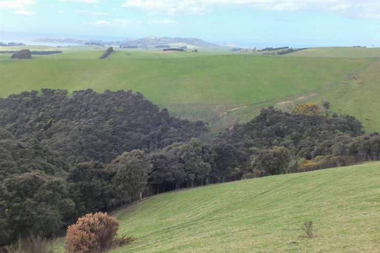 Duncan Road Hampden_4