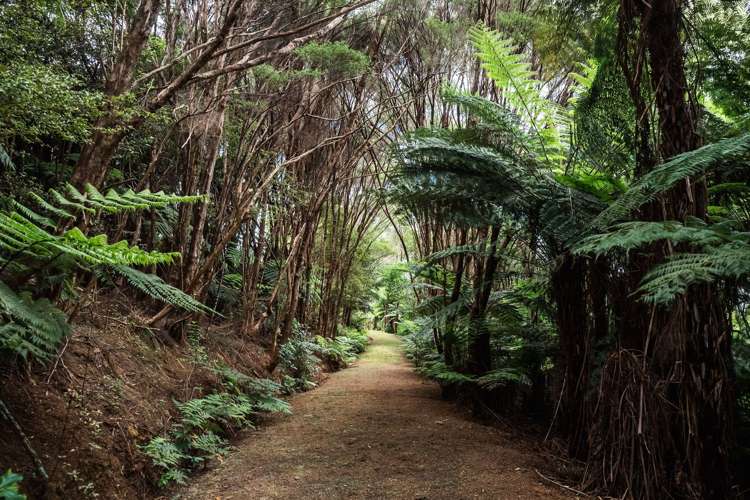 183 Rangitane Road Kerikeri_31