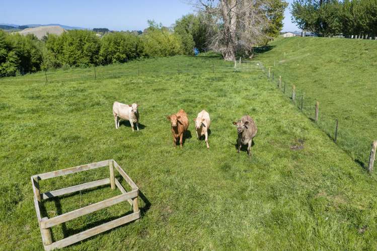 298 Te Matai Road Whakarongo_35