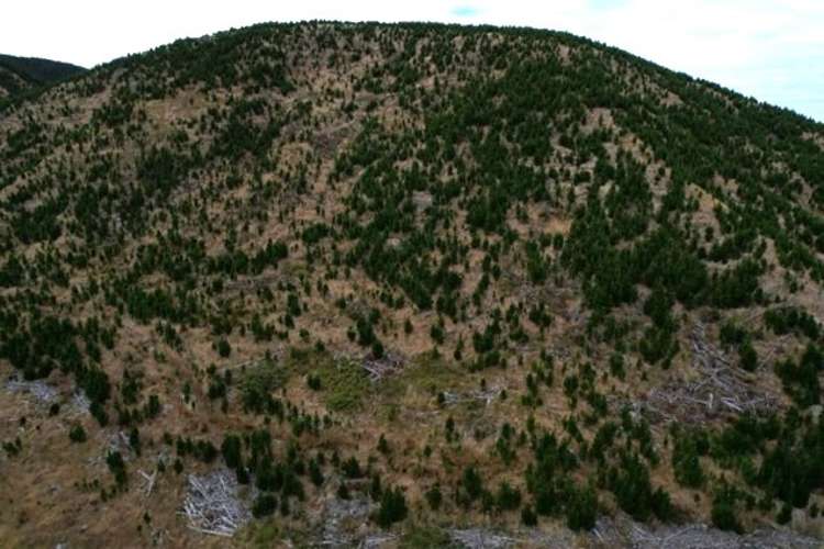 3525 Masterton Castlepoint Road Mangapakeha_6