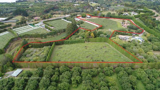 1.37 canopy hectares of Gold - a rare opportunity