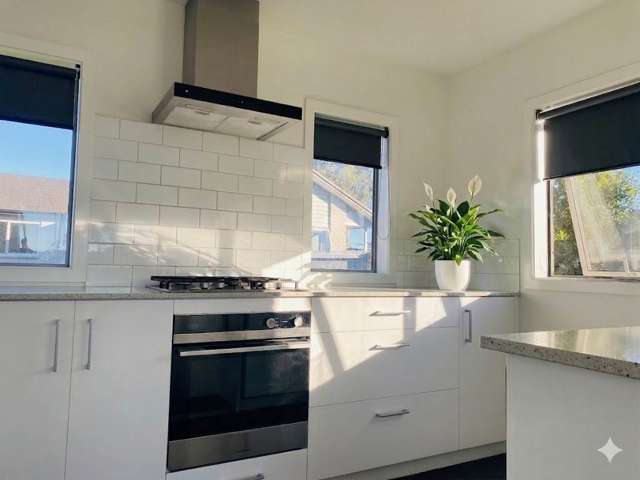 46C Church Street Tuakau_2