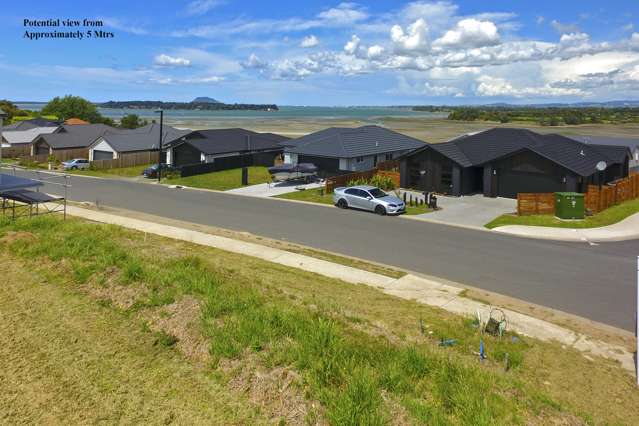 56 Bert Wall Drive Omokoroa_3