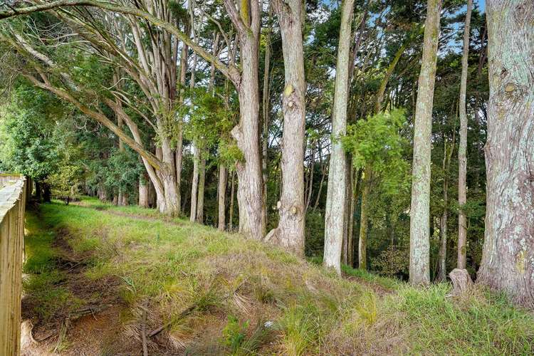 15C Anzac Avenue Morrinsville_20