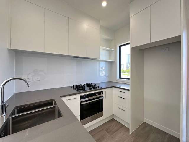 5 Pukanui Avenue Flat Bush_1