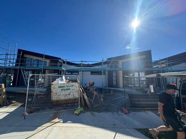 1 Palm Avenue Lyall Bay_3