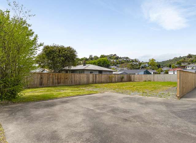 Exceptional Central Nelson Section