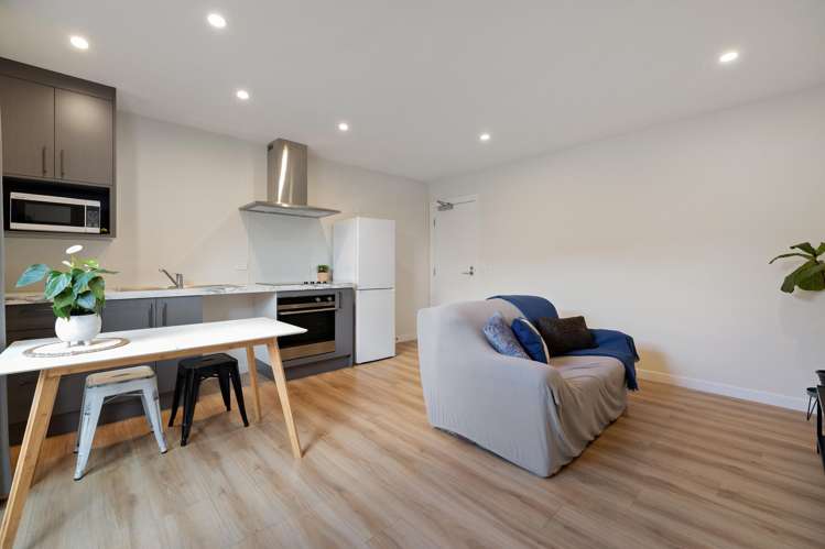 27 Bale Road Queenstown_13