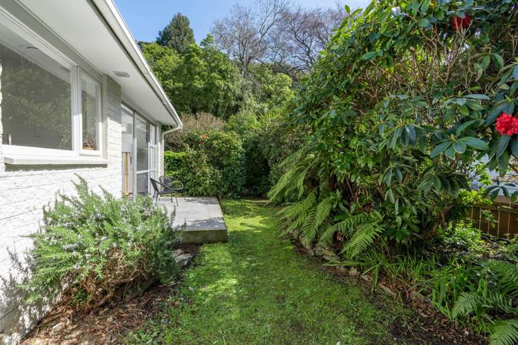 15 Duchess Avenue Dunedin Central_13