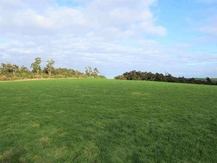 775 Otara Haldane Road Wyndham Surrounds_13