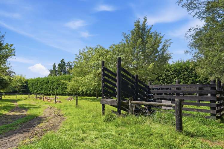 989 Two Chain Road Swannanoa_28