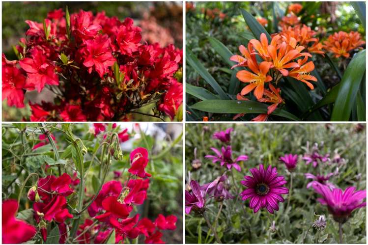 8 Ward Street Springlands_29