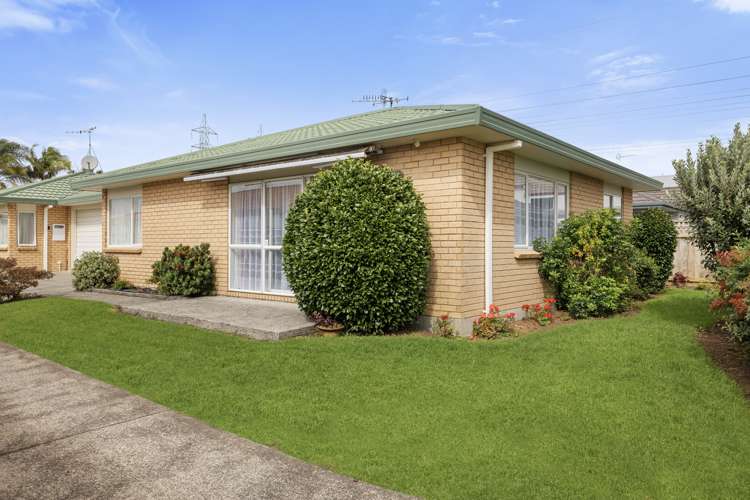 5b Mansels Road Greerton_9