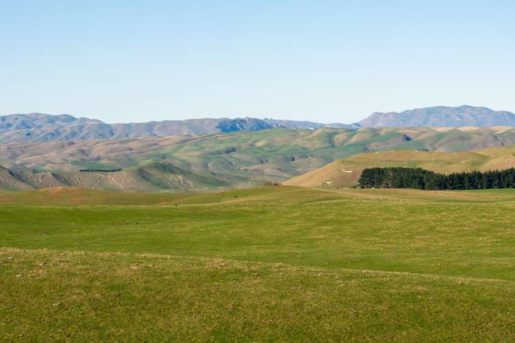 Lot 2 876 Whakapirau Road_10