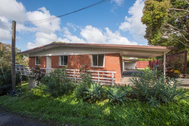 19a Holly Street Avondale_1