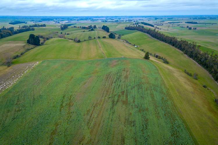 55 Dinda Road Waitohi_17