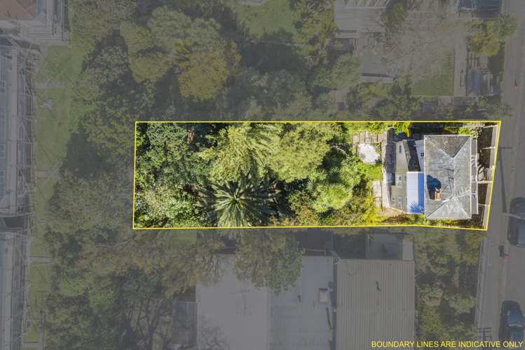 126 John Street Ponsonby_13